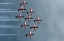 Picture of SNOWBIRDS