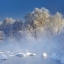 Picture of MORNING FOG AND RIME IN KUERBIN