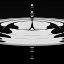 Picture of DROPS