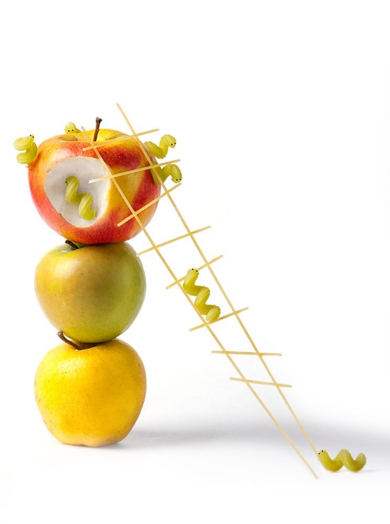 Picture of CATERPILLARS