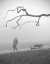 Picture of UNTITLED