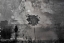 Picture of SHADOWS (SPLITTING)