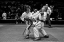 Picture of MAWASHI GERI