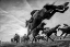 Picture of CHELTENHAM JUMPS FESTIVAL