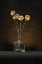Picture of BOUQUET OF MUSHROOMS