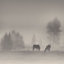 Picture of TIMELESS MOMENTS