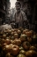 Picture of TANGERINES FROM PAHARGANJ