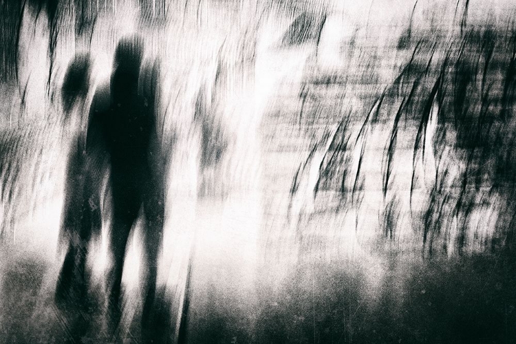 Picture of BLURRED VISION #2
