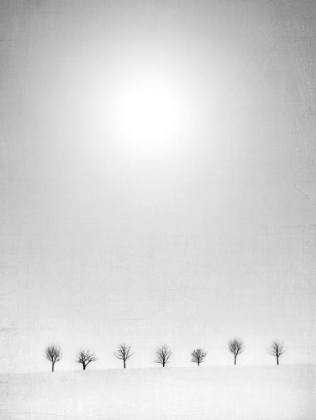 Picture of HORIZON