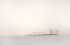 Picture of THE SOFTNESS OF A WINTER MORNING