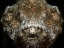 Picture of SCORPIONFISH PORTRAIT