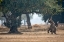 Picture of MANA POOLS SECRET