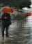 Picture of ITS RAINING CATS AND DOGS