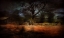 Picture of UNTITLED