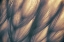 Picture of UNTITLED