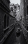 Picture of VENICE