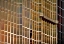 Picture of THE WINDOWS CLEANER
