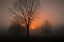 Picture of AWAKENING
