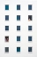 Picture of NEIGHBOUR
