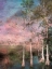 Picture of EVERGLADES