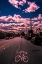 Picture of TORRESDALE AVE.