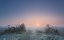 Picture of FROSTY MORNING