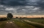 Picture of WAVING CLOUDS