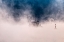 Picture of UNTITLED