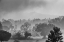 Picture of ARAKU WINTER