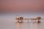Picture of PEACE AND SILENCE SUSNSET