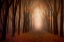 Picture of TO THE LIGHT ..........