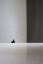 Picture of UNTITLED