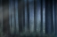 Picture of BLUE LIGHT