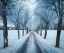 Picture of SWEDISH WINTER