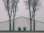 Picture of PAIRED