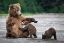 Picture of A MOTHERS LOVE