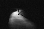Picture of ALONE...