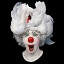 Picture of SWAN CLWON