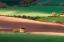 Picture of TOUCH OF THE SUN