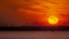 Picture of SUNSET: NEW YORK HARBOR