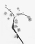 Picture of A TREE AND TREES