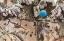 Picture of BALLOON