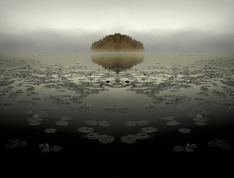 Picture of UNREAL ISLAND