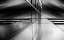 Picture of LINES AND REFLECTIONS