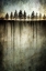 Picture of DARK WATER STANDS OVER ME
