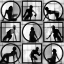 Picture of BODY LANGUAGE 59