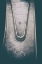 Picture of VOICELESS