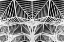 Picture of ENTER THE WEB