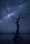 Picture of THE TREE