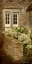 Picture of HYDRANGEAS